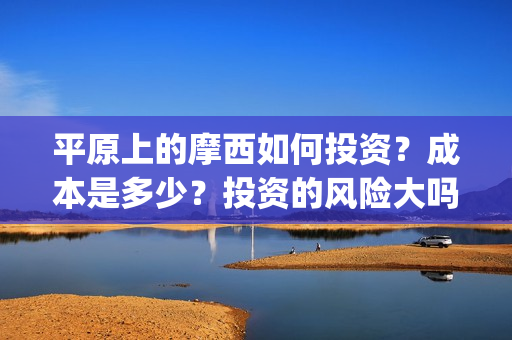 平原上的摩西如何投资？成本是多少？投资的风险大吗？(平原上的摩西解读)
