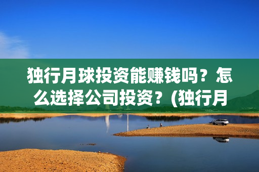 独行月球投资能赚钱吗？怎么选择公司投资？(独行月球投资方)