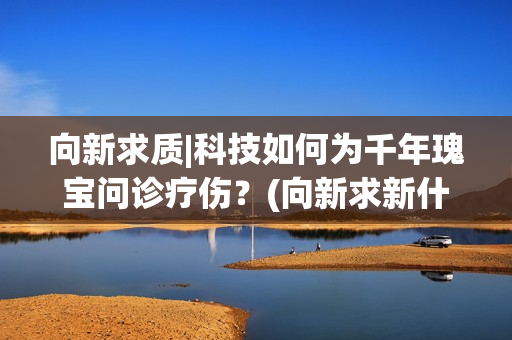向新求质|科技如何为千年瑰宝问诊疗伤？(向新求新什么意思)