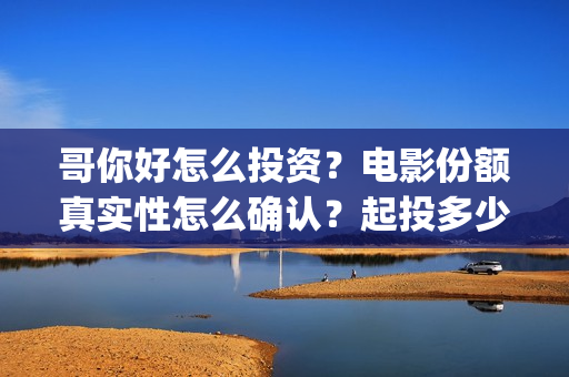 哥你好怎么投资？电影份额真实性怎么确认？起投多少？(你好哥哥)