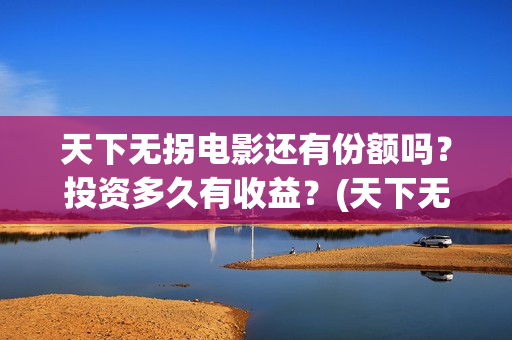 天下无拐电影还有份额吗？投资多久有收益？(天下无拐我要看这部电影)