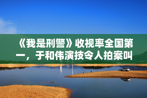 《我是刑警》收视率全国第一，于和伟演技令人拍案叫绝