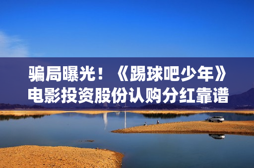 骗局曝光！《踢球吧少年》电影投资股份认购分红靠谱吗？认购没有消息怎么办？(踢票什么意思)