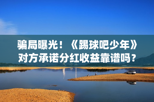 骗局曝光!《踢球吧少年》对方承诺分红收益靠谱吗?已经合同认购可以追回吗?(踢踹要害) 骗局曝光!《踢球吧少年》对方承诺分红收益靠谱吗?已经合同认购可以追回吗?(踢踹要害)