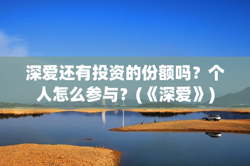 深爱还有投资的份额吗？个人怎么参与？(《深爱》)