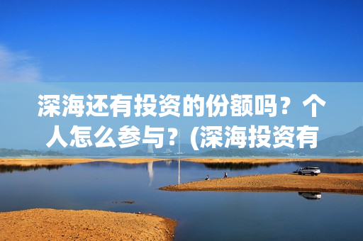 深海还有投资的份额吗？个人怎么参与？(深海投资有限公司)
