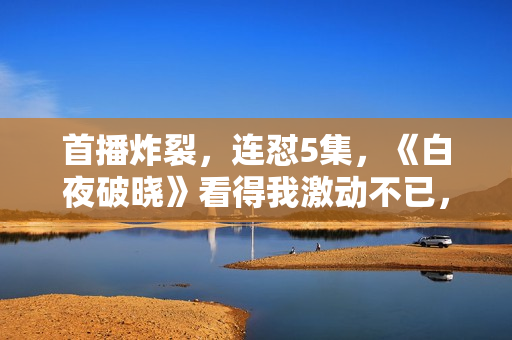 首播炸裂，连怼5集，《白夜破晓》看得我激动不已，潘粤明封神了