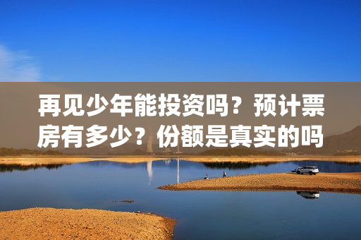 再见少年能投资吗？预计票房有多少？份额是真实的吗？(再见少年可以投资吗)