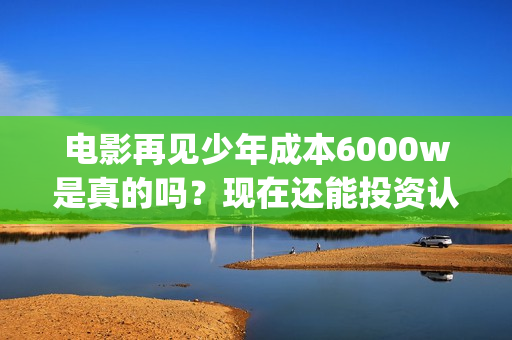 电影再见少年成本6000w是真的吗？现在还能投资认购份额吗？(电影《再见少年》)