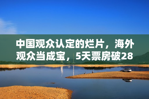 中国观众认定的烂片，海外观众当成宝，5天票房破28亿破影史纪录