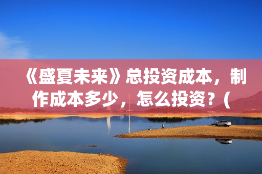 《盛夏未来》总投资成本，制作成本多少，怎么投资？(盛夏未来mng)