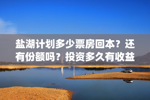 盐湖计划多少票房回本？还有份额吗？投资多久有收益？(盐湖计划预告片)