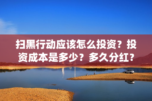 扫黑行动应该怎么投资？投资成本是多少？多久分红？(扫黑行动应该怎么拍摄的)
