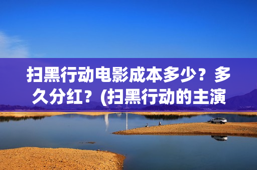 扫黑行动电影成本多少？多久分红？(扫黑行动的主演)