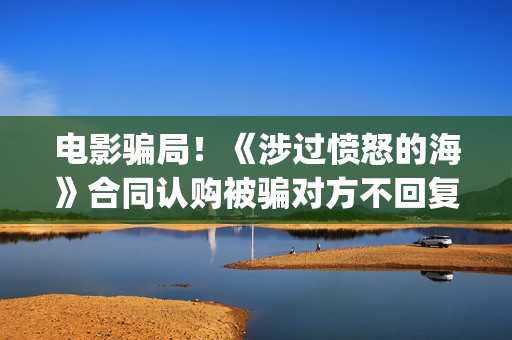 电影骗局！《涉过愤怒的海》合同认购被骗对方不回复怎么办？怎么追回资金？(电影诈骗案件立案后公安会怎么处理)