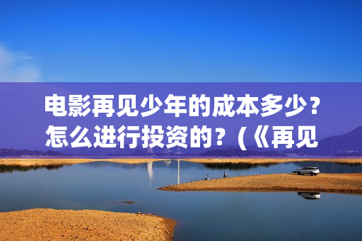 电影再见少年的成本多少？怎么进行投资的？(《再见少年》)