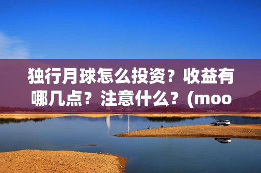 独行月球怎么投资？收益有哪几点？注意什么？(moonyou-独行月球)