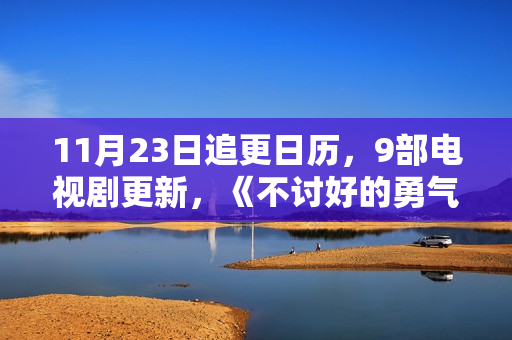 11月23日追更日历，9部电视剧更新，《不讨好的勇气》今日首播