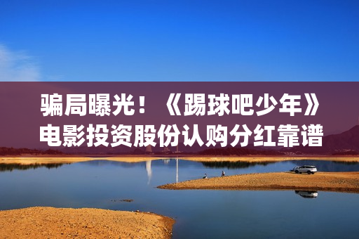 骗局曝光！《踢球吧少年》电影投资股份认购分红靠谱吗？认购没有消息怎么办？——抵制耐克(踢馆是什么意思?)