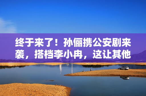 终于来了！孙俪携公安剧来袭，搭档李小冉，这让其他国产剧咋玩啊