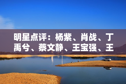 明星点评：杨紫、肖战、丁禹兮、蔡文静、王宝强、王鹤棣