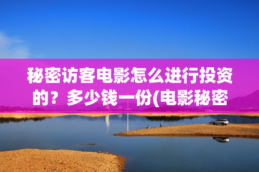 秘密访客电影怎么进行投资的？多少钱一份(电影秘密访客视频)