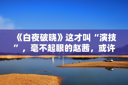 《白夜破晓》这才叫“演技”，毫不起眼的赵茜，或许才是最有戏的