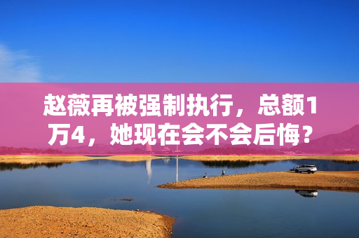 赵薇再被强制执行，总额1万4，她现在会不会后悔？