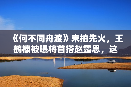 《何不同舟渡》未拍先火，王鹤棣被曝将首搭赵露思，这下有盼头了