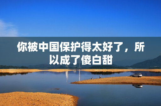 你被中国保护得太好了，所以成了傻白甜