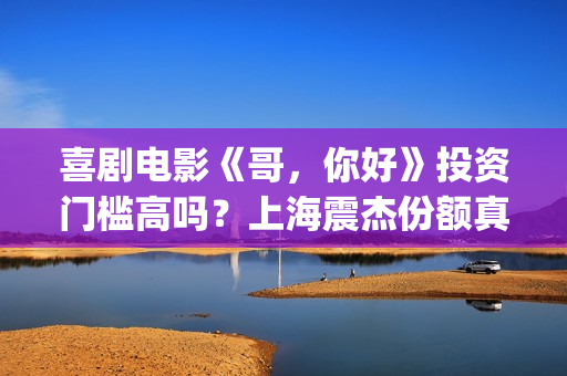喜剧电影《哥，你好》投资门槛高吗？上海震杰份额真实吗？公司靠谱吗(《哥》电影免费观看完整版)