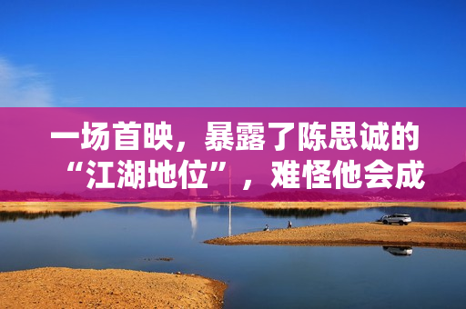 一场首映，暴露了陈思诚的“江湖地位”，难怪他会成为百亿导演