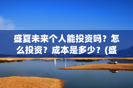 盛夏未来个人能投资吗？怎么投资？成本是多少？(盛夏未来ing)