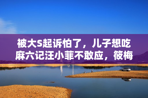 被大S起诉怕了，儿子想吃麻六记汪小菲不敢应，筱梅一招化解尴尬