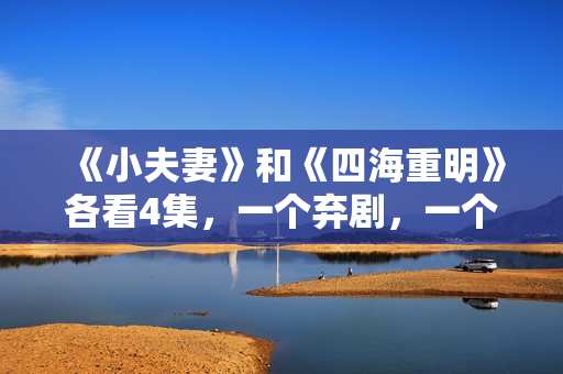 《小夫妻》和《四海重明》各看4集，一个弃剧，一个追到底