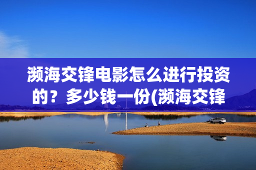 濒海交锋电影怎么进行投资的？多少钱一份(濒海交锋电影怎么样)