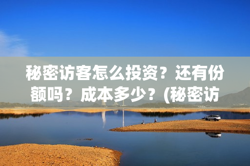 秘密访客怎么投资？还有份额吗？成本多少？(秘密访客在哪)