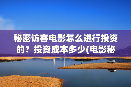 秘密访客电影怎么进行投资的？投资成本多少(电影秘密访客视频)