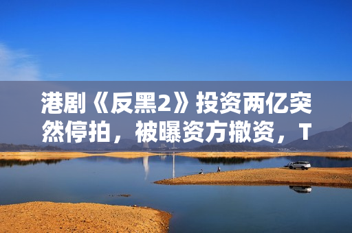 港剧《反黑2》投资两亿突然停拍，被曝资方撤资，TVB多位艺人参演