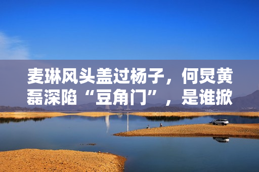 麦琳风头盖过杨子，何炅黄磊深陷“豆角门”，是谁掀起全民骂战？