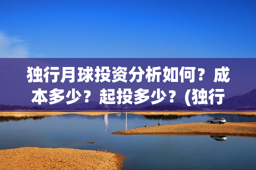独行月球投资分析如何？成本多少？起投多少？(独行月球电影什么时候开机)
