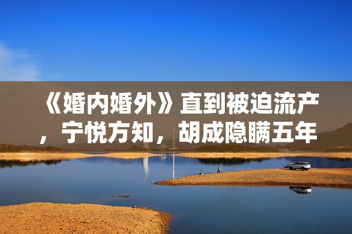 《婚内婚外》直到被迫流产,宁悦方知,胡成隐瞒五年的真相 《婚内婚外》直到被迫流产,宁悦方知,胡成隐瞒五年的真相