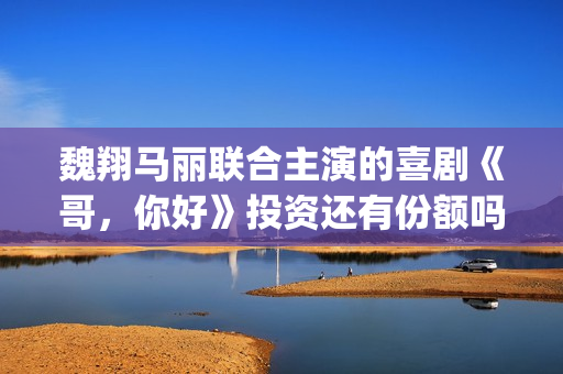 魏翔马丽联合主演的喜剧《哥，你好》投资还有份额吗？怎么参与？(魏翔 马丽 沈腾)