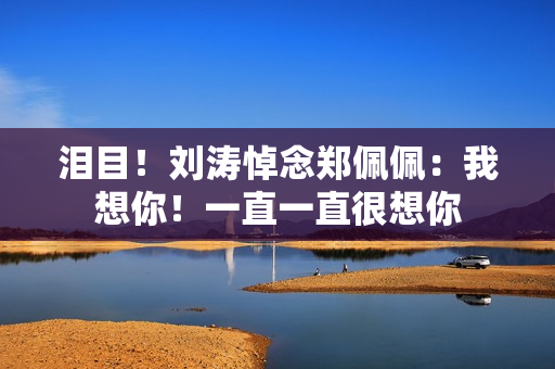 泪目！刘涛悼念郑佩佩：我想你！一直一直很想你