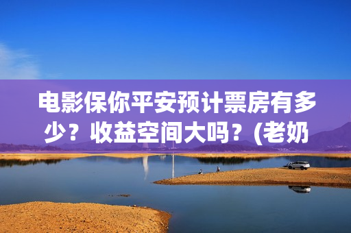 电影保你平安预计票房有多少？收益空间大吗？(老奶奶说保你平安什么意思)