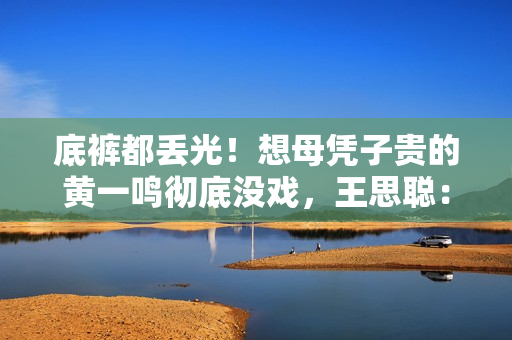 底裤都丢光！想母凭子贵的黄一鸣彻底没戏，王思聪：排队都轮不上