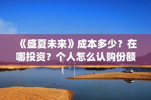 《盛夏未来》成本多少？在哪投资？个人怎么认购份额？(盛夏未来l)