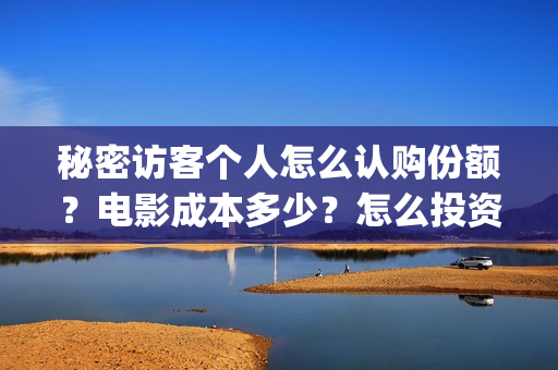 秘密访客个人怎么认购份额？电影成本多少？怎么投资？(秘密访客隐藏细节)