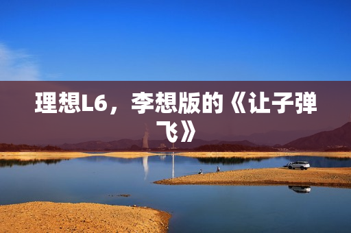 理想L6，李想版的《让子弹飞》