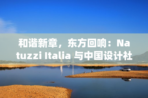 和谐新章，东方回响：Natuzzi Italia 与中国设计社群的深度对话(和谐hxn)